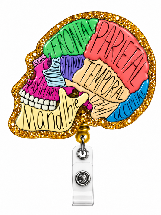 Acrylic Reel-Skull bones Anatomy Zuena