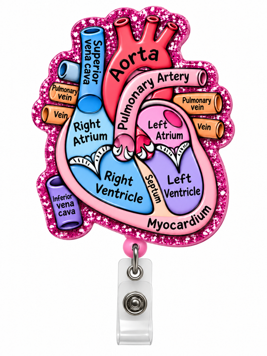 Acylic Reel- Heart Anatomy Zuena